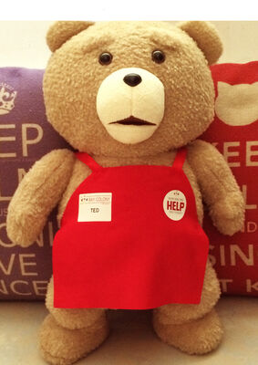 O poliéster vermelho de Brown dos brinquedos bonitos do luxuoso do bebê do urso de Ted aceita o ODM do OEM