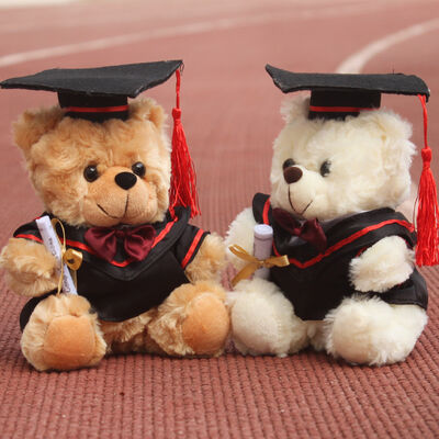Urso de peluche do doutor Graduação Luxuoso para a celebração 30cm da graduação